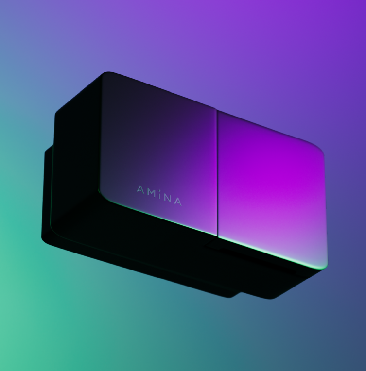 Amina (990 kr./mán.)